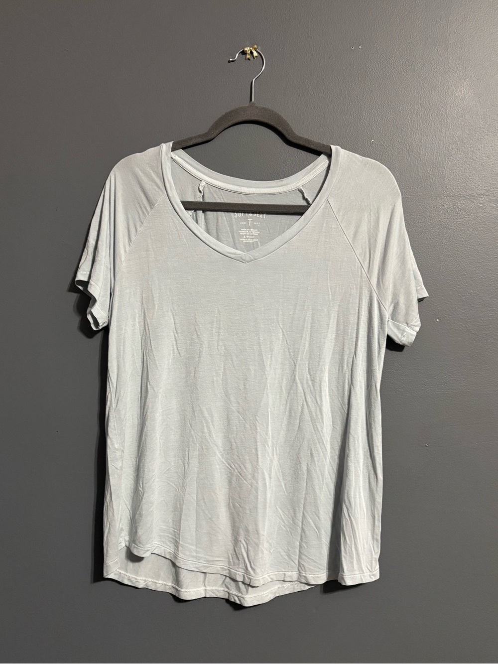 American Eagle “soft & sexy” lightweight blue v-neck tee size small